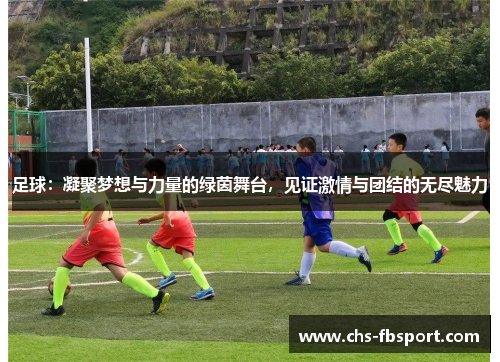 足球：凝聚梦想与力量的绿茵舞台，见证激情与团结的无尽魅力