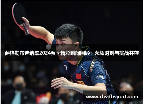 萨格勒布迪纳摩2024赛季精彩瞬间回顾:荣耀时刻与挑战并存 萨格勒布迪纳摩2024赛季精彩瞬间回顾:荣耀时刻与挑战并存