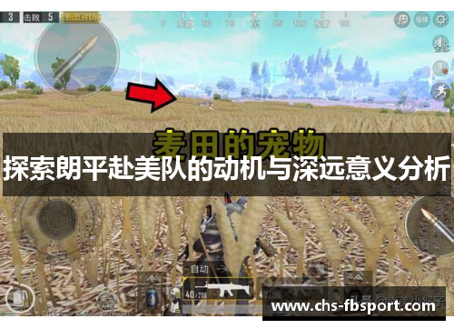 探索朗平赴美队的动机与深远意义分析