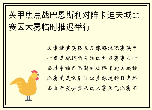 英甲焦点战巴恩斯利对阵卡迪夫城比赛因大雾临时推迟举行